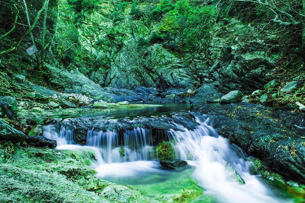 Water cascading over mossy rocks into a green pool